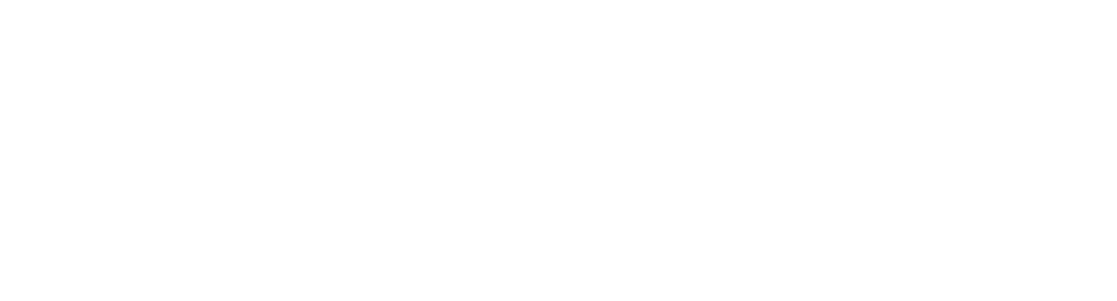 ararianeurotrauma.com